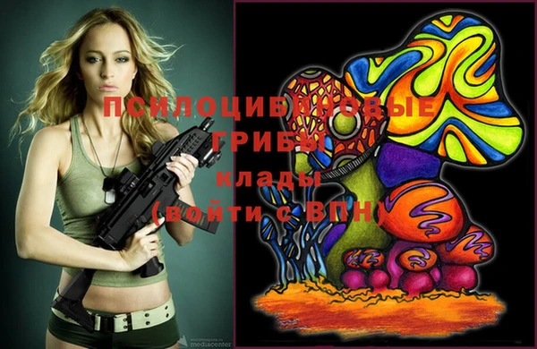 spice Дмитриев