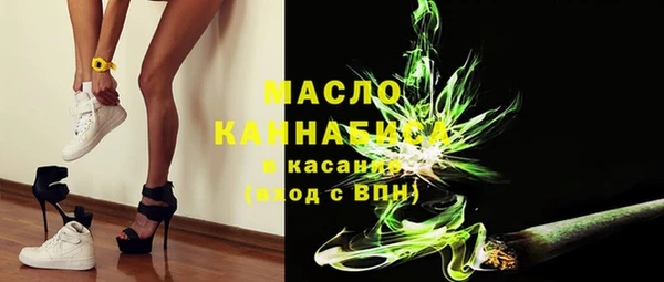 spice Дмитриев
