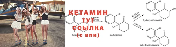 spice Дмитриев