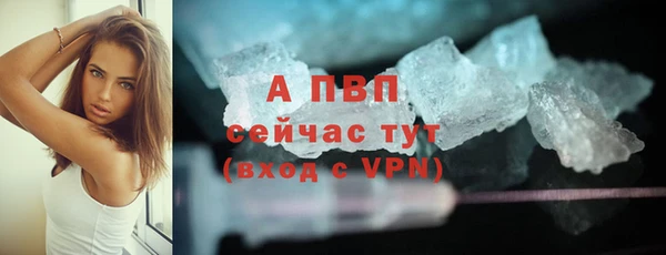 spice Дмитриев