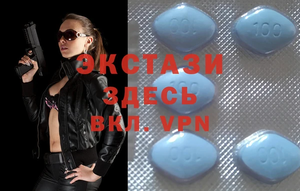 spice Дмитриев