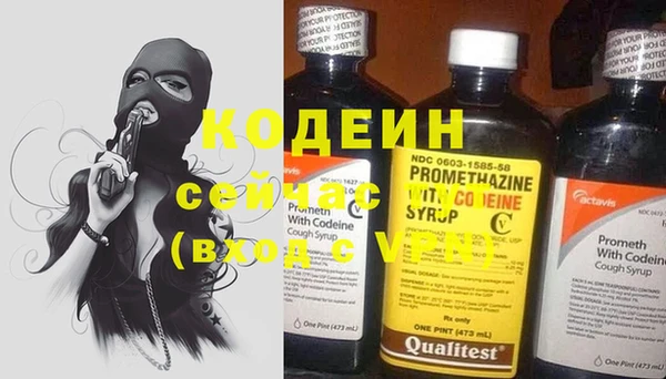 spice Дмитриев