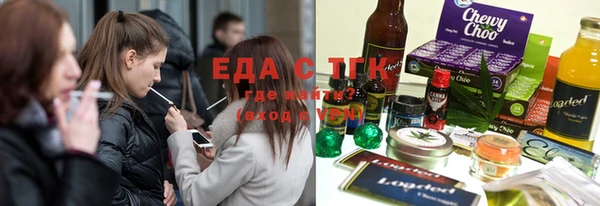 spice Дмитриев